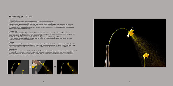 Examples page 1