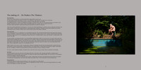 Examples page 2