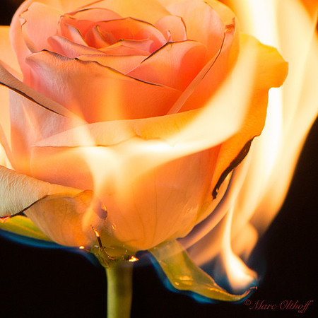 Burning love